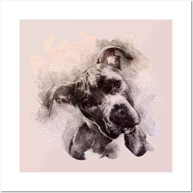 American Staffordshire Terrier - Amstaff Puppy Wall Art by Nartissima